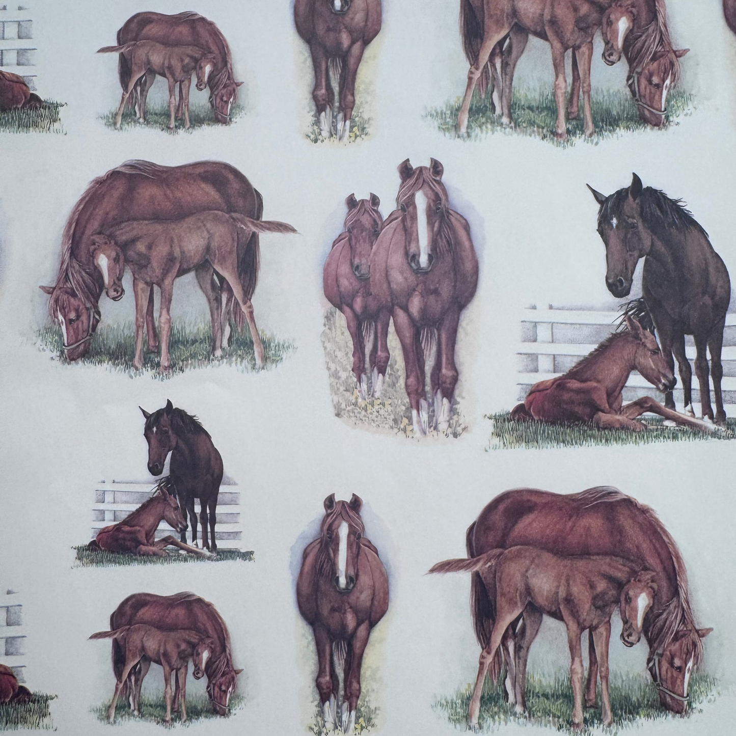 Papel Caballos 50x70 , 85 gr