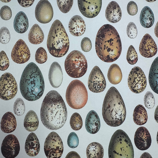 Papel huevos , 50 x 70 85gr