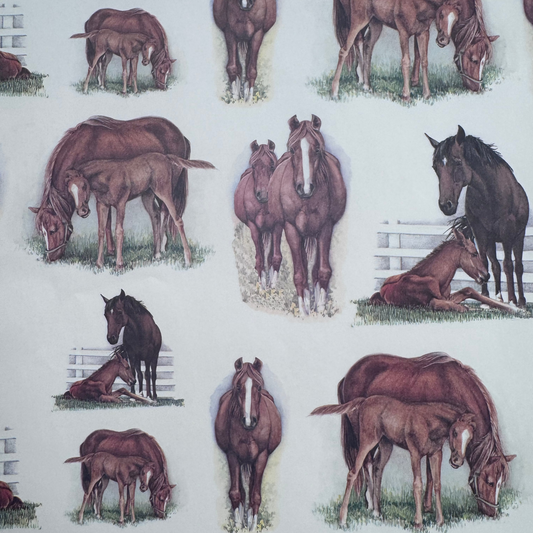 Papel Caballos 50x70 , 85 gr