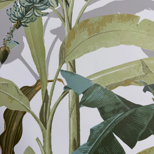 Papel  Tropical 44x44 cm 100Gr