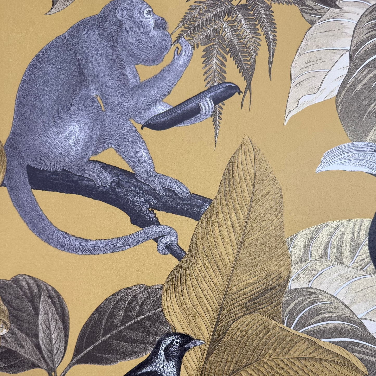 Papel Selva 2 ,44x44 cm 100Gr