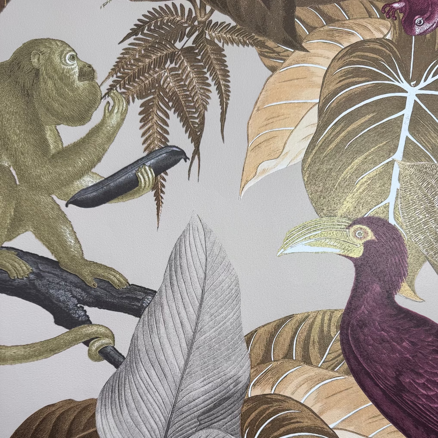 Papel Selva 2 ,44x44 cm 100Gr